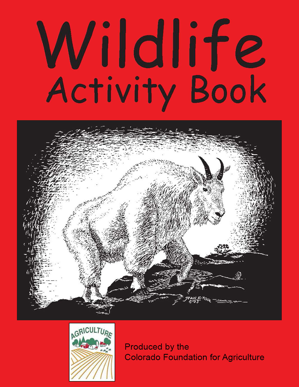 Wildlife Activity Book
