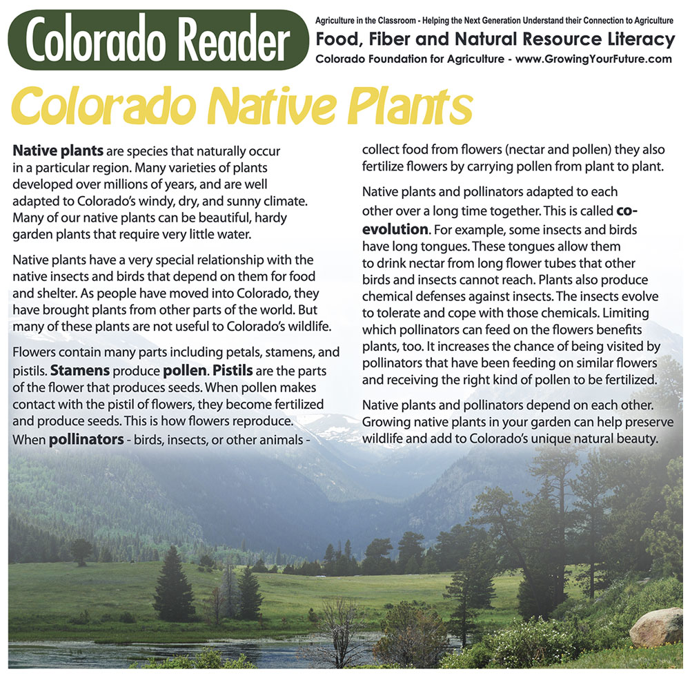 Colorado Native Plants