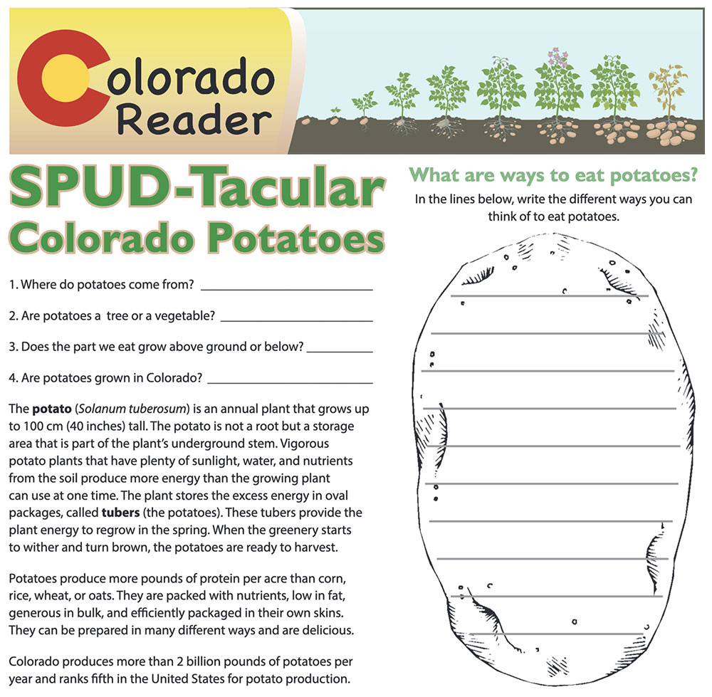 SPUD-Tacular Colorado Potatoes