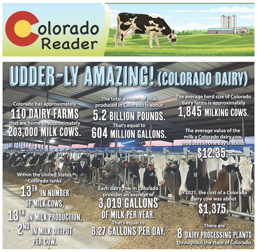 Udder-ly Amazing (Colorado Dairy)