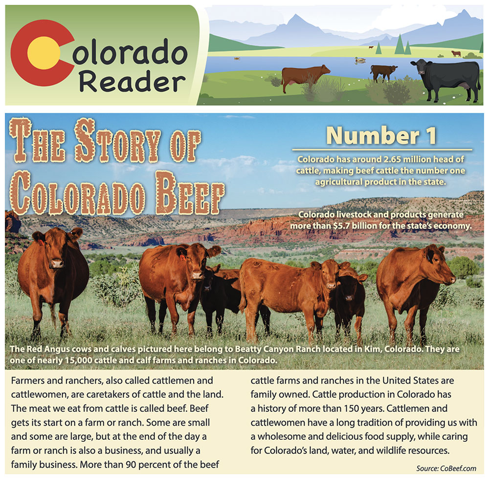 The Story of Colorado Beef
